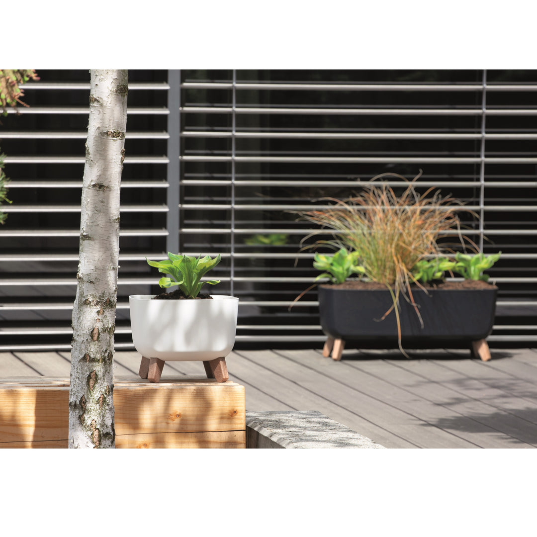 Prosperplast Gracia Square Vaso da fiori quadrato con gambe rimovibili incl. inserto per uso interno ed esterno Vaso quadrato in plastica resistente ai raggi UV 24x24x18,7cm Bianco