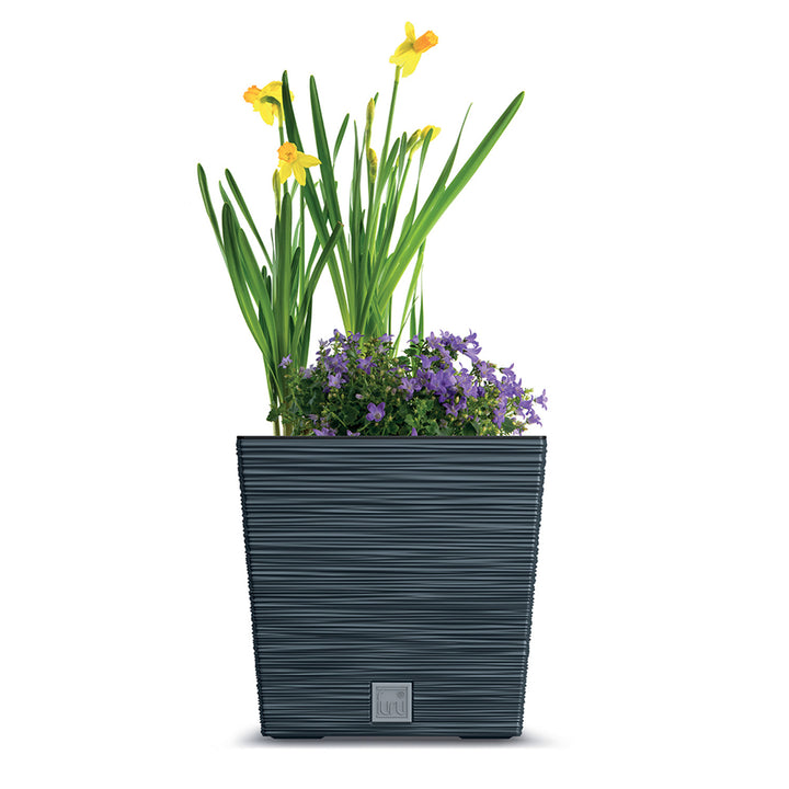 Prosperplast Furu Quadrato Basso con inserto DFS300-S433 - colore antracite