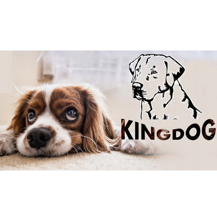 KingDog Letto per cani e gatti  130 x 105  grigio/nero Cuccia XXL con due cuscini