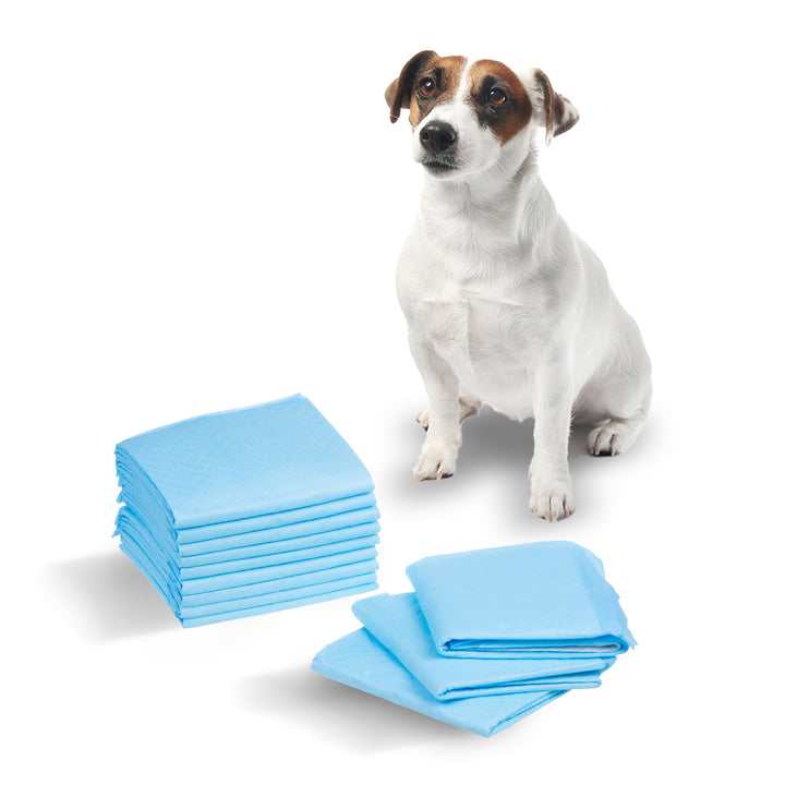 GB495 Tappetini igienici per cani/gatti Assorbenti igienici per imparare a fare pipì Tappetini da addestramento monouso a 6 strati 200 pz.