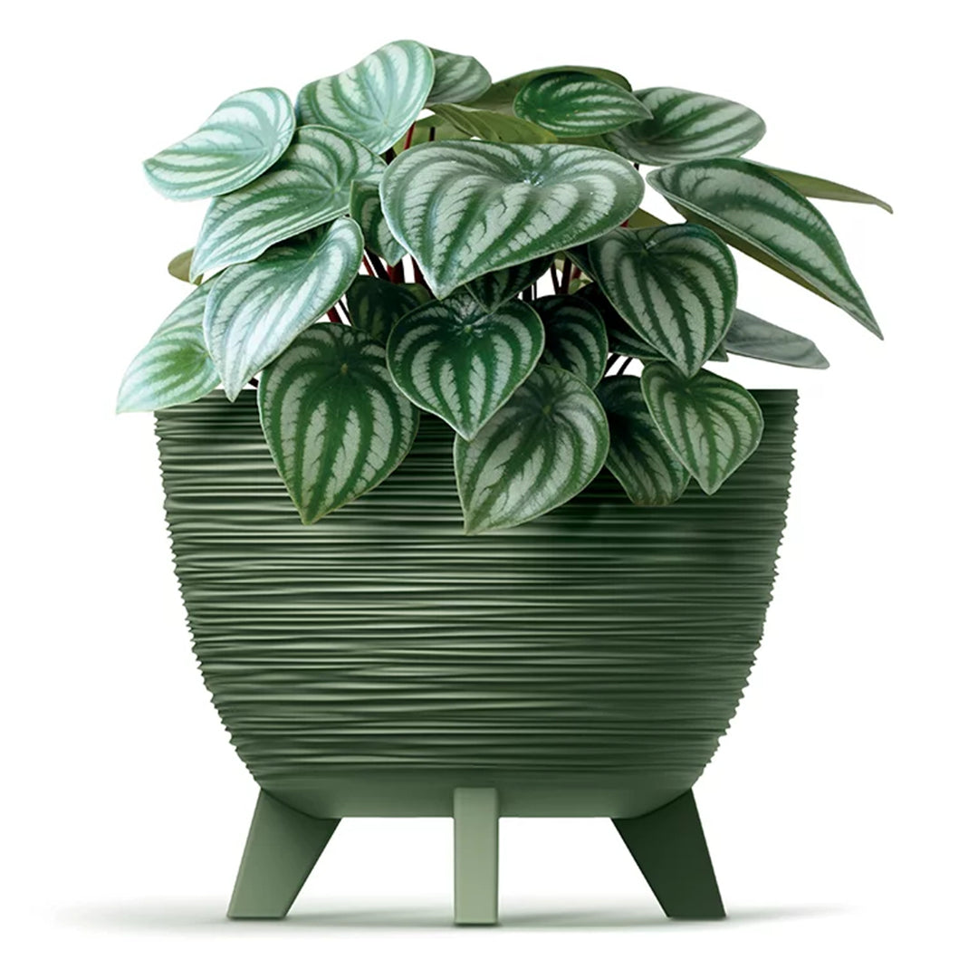 Vaso da fiori Prosperplast Furu, fioriera con piedini, vaso per piante, antracite resistente ai raggi UV, ⌀ 290 mm