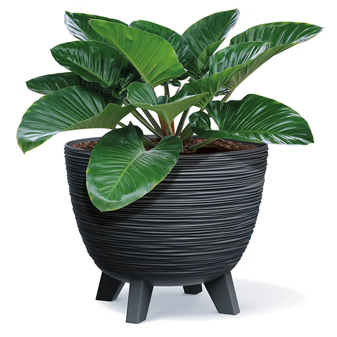 Vaso da fiori Prosperplast, diametro 236 mm, piedi, antracite, DFUR240-S433, Furu
