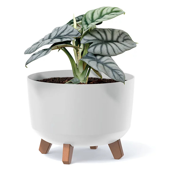 Prosperplast Gracia vaso da fiori con gambe rimovibili incl. inserto per uso interno ed esterno Fioriera rotonda in plastica (verde terra, ⌀ 200mm)