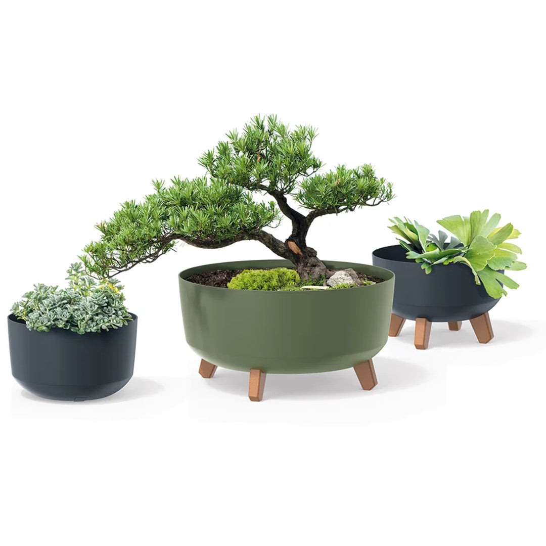 Prosperplast Gracia vaso da fiori con gambe rimovibili incl. inserto per uso interno ed esterno Fioriera rotonda in plastica (verde terra, ⌀ 200mm)