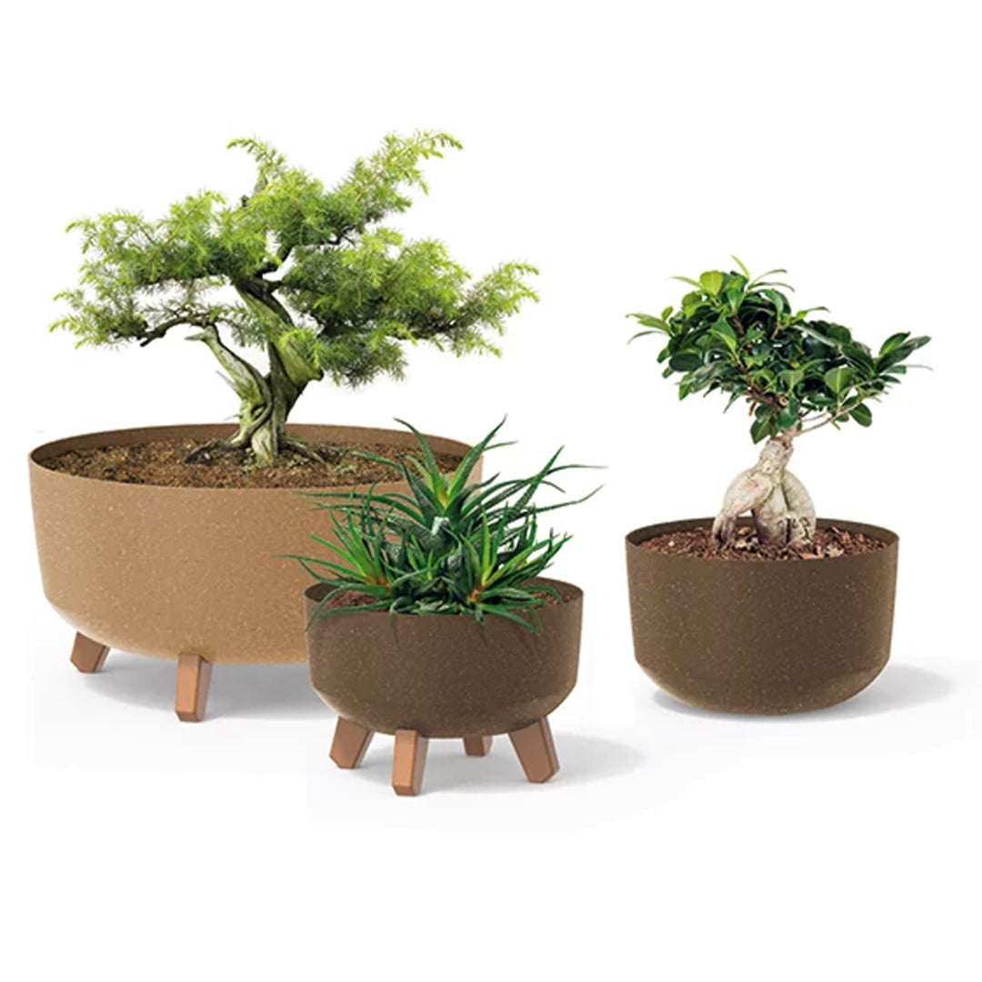 Prosperplast Gracia ECO Vaso in legno con gambe rimovibili incl. inserto per uso interno ed esterno Vaso in materiale contenente fino al 33% di legno (bianco ECO, ⌀ 200mm)