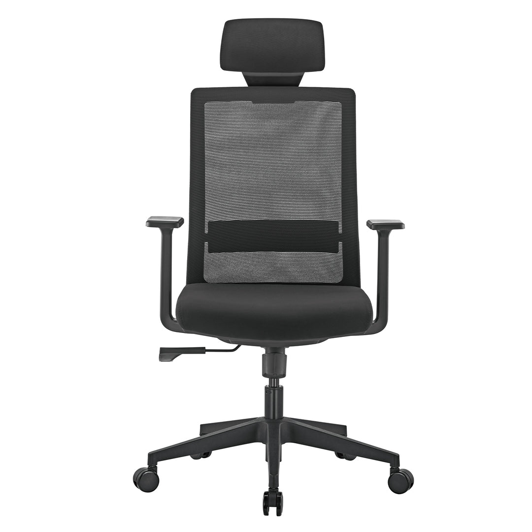 Sedia da ufficio ergonomica premium con schienale alto Ergo Office, max 150 kg, ER-425
