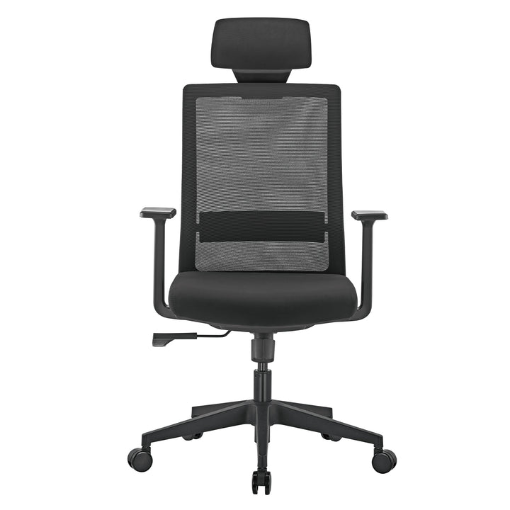 Sedia da ufficio ergonomica premium con schienale alto Ergo Office, max 150 kg, ER-425