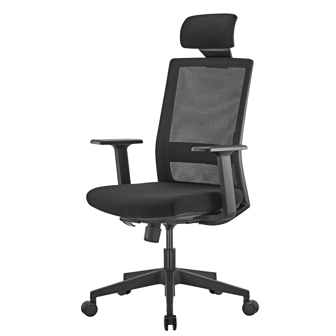 Sedia da ufficio ergonomica premium con schienale alto Ergo Office, max 150 kg, ER-425