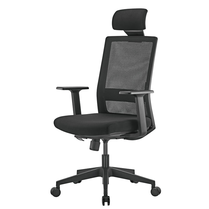 Sedia da ufficio ergonomica premium con schienale alto Ergo Office, max 150 kg, ER-425