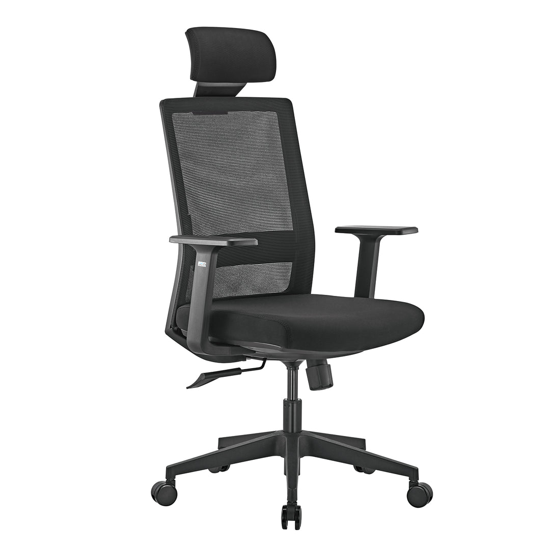 Sedia da ufficio ergonomica premium con schienale alto Ergo Office, max 150 kg, ER-425