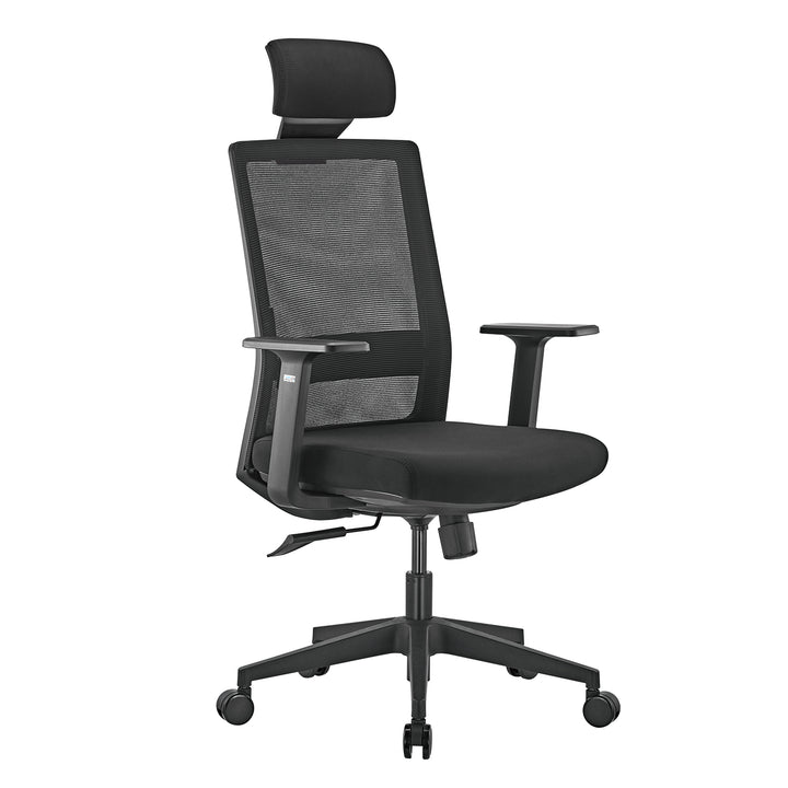 Sedia da ufficio ergonomica premium con schienale alto Ergo Office, max 150 kg, ER-425