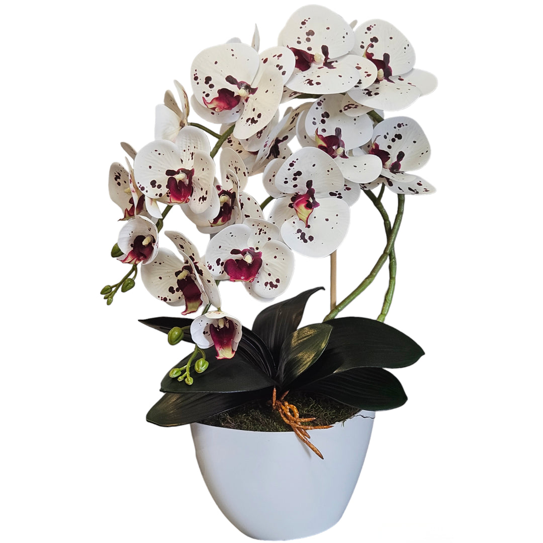 Damich orchidea artificiale, fiori, in gomma, 2 steli