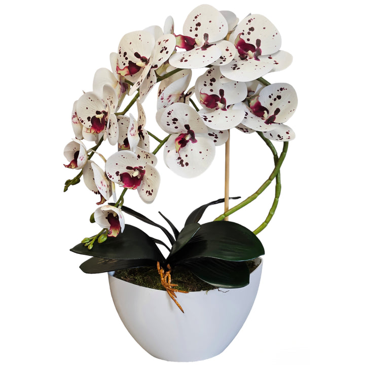Damich orchidea artificiale, fiori, in gomma, 2 steli