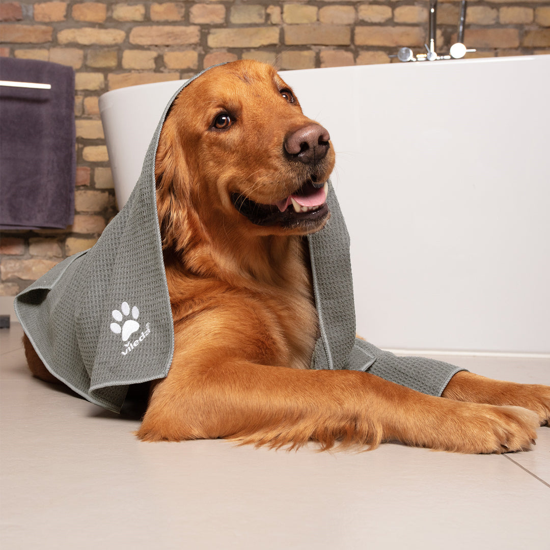 Vileda Pet Pro XL Asciugamano in microfibra per animali domestici, , taglia XL, Pet Pro
