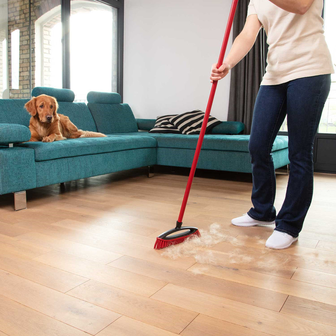 Vileda Scopa per capelli, peli di cane, setole in gomma, Always Clean, Pet Pro