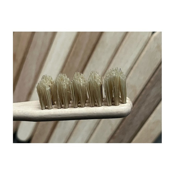 Spazzolino Starmann, Spazzolino da denti con setole naturali con struttura in legno di faggio