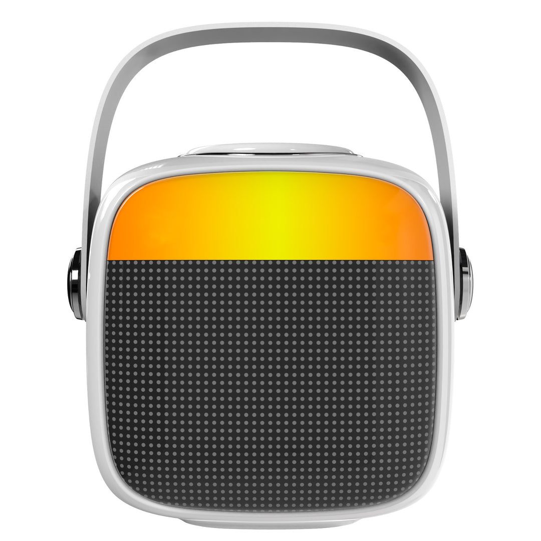 Altoparlante wireless Adler, con microfono, per karaoke, Bluetooth, AD 1199 W