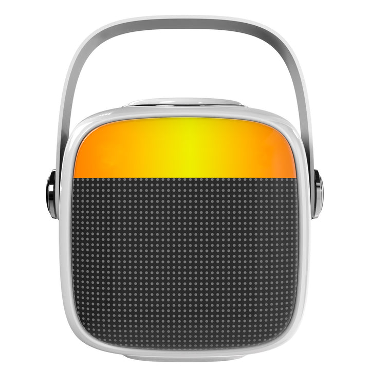 Altoparlante wireless Adler, con microfono, per karaoke, Bluetooth, AD 1199 W