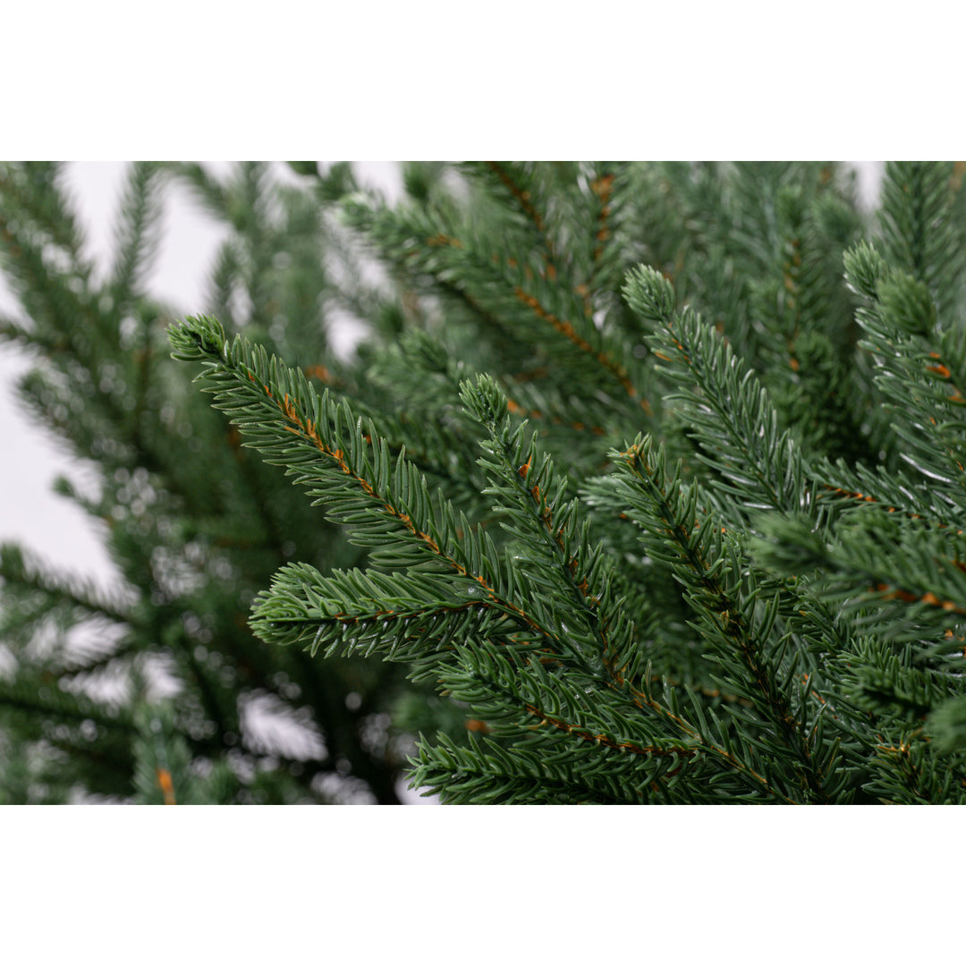 Albero di Natale artificiale Novatom, abete coreano, 250 cm 100% PE, verde, SKOR250