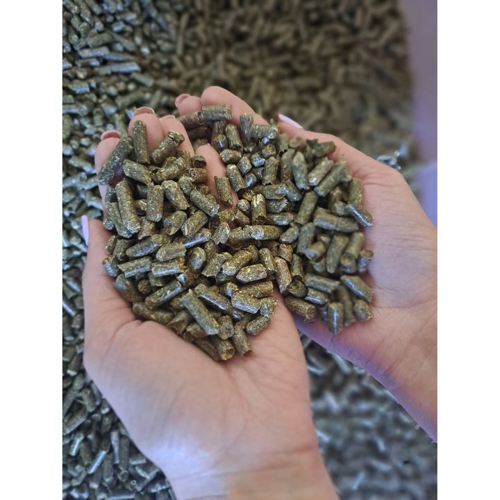 Palline di erba, cibo per cavalli, a base di erba della terra dei laghi, sacco da 15 kg