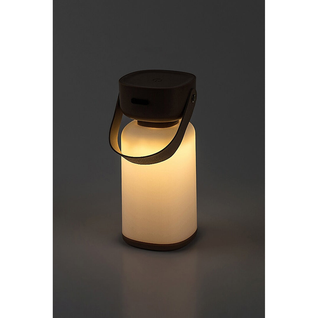 Lampada decorativa Rabalux, per esterni, IP44, 3W, marrone, Funes