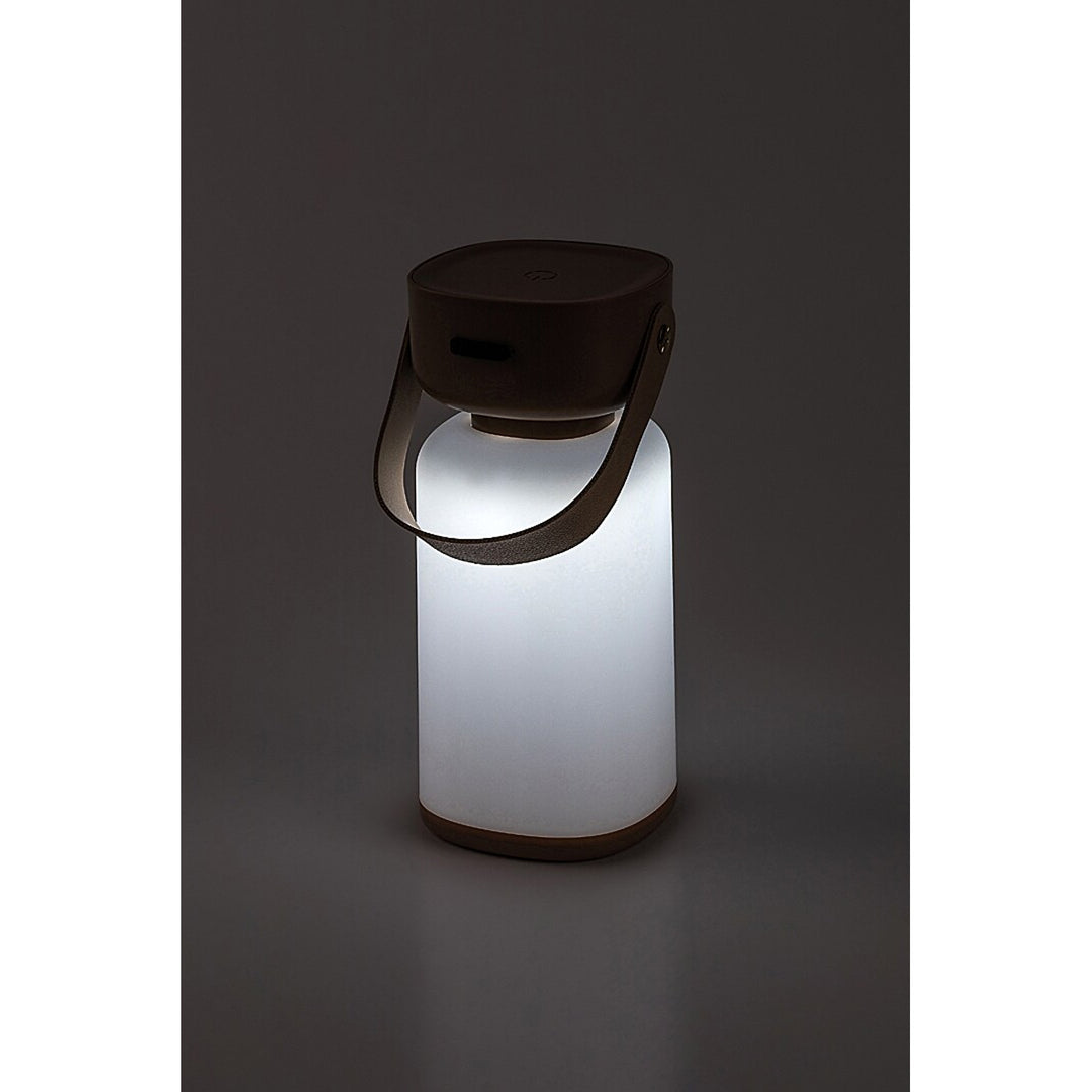 Lampada decorativa Rabalux, per esterni, IP44, 3W, marrone, Funes