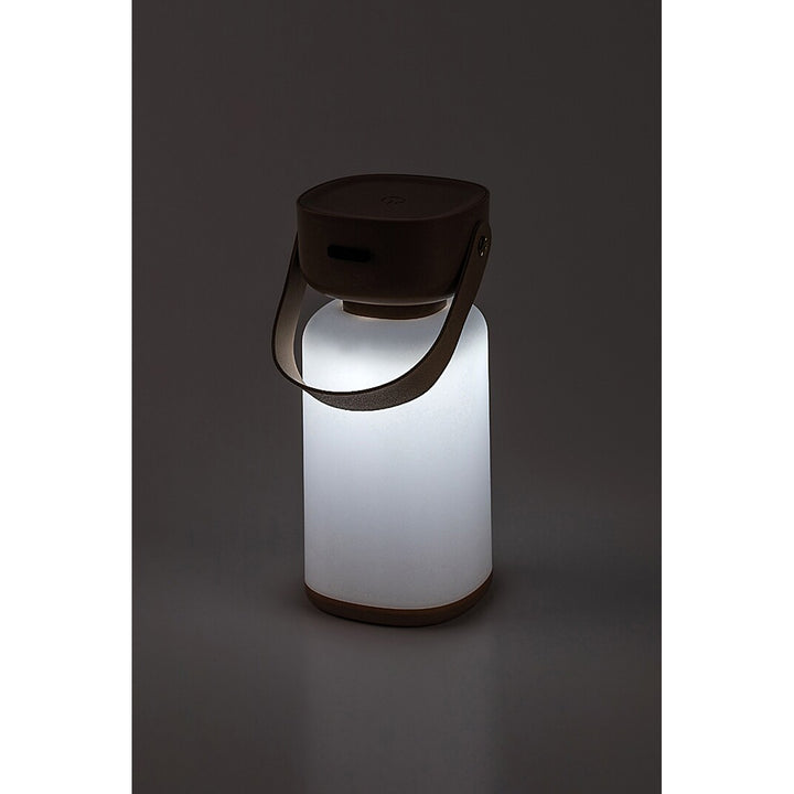 Lampada decorativa Rabalux, per esterni, IP44, 3W, marrone, Funes