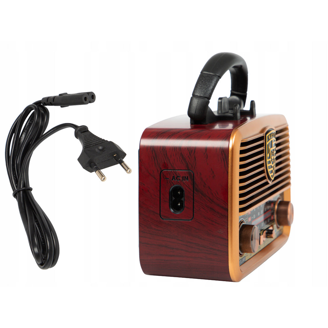 Radio portatile solare AM/FM BT BLOW RA10