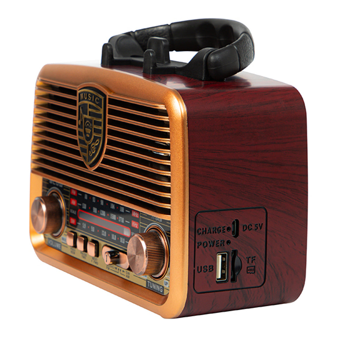 Radio portatile solare AM/FM BT BLOW RA10