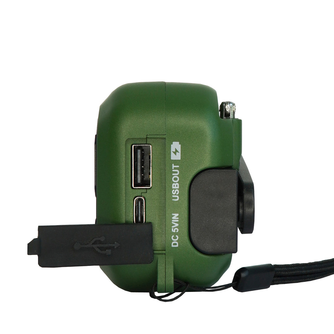 Radio Blaupunkt a rete/batteria, torcia a LED, indicazione SOS, antenna, ER20