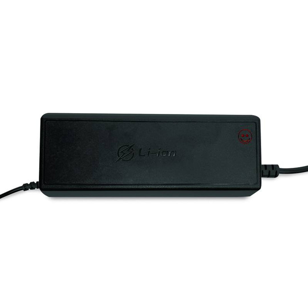 Raddrizzatore per batterie LiFePO4 LTC Energy, BMS, 20A, 230/14,6V, 300W di potenza, protezioni integrate, LXPOE20
