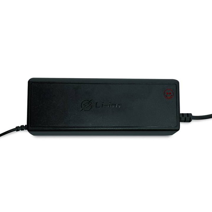 Raddrizzatore per batterie LiFePO4 LTC Energy, BMS, 20A, 230/14,6V, 300W di potenza, protezioni integrate, LXPOE20