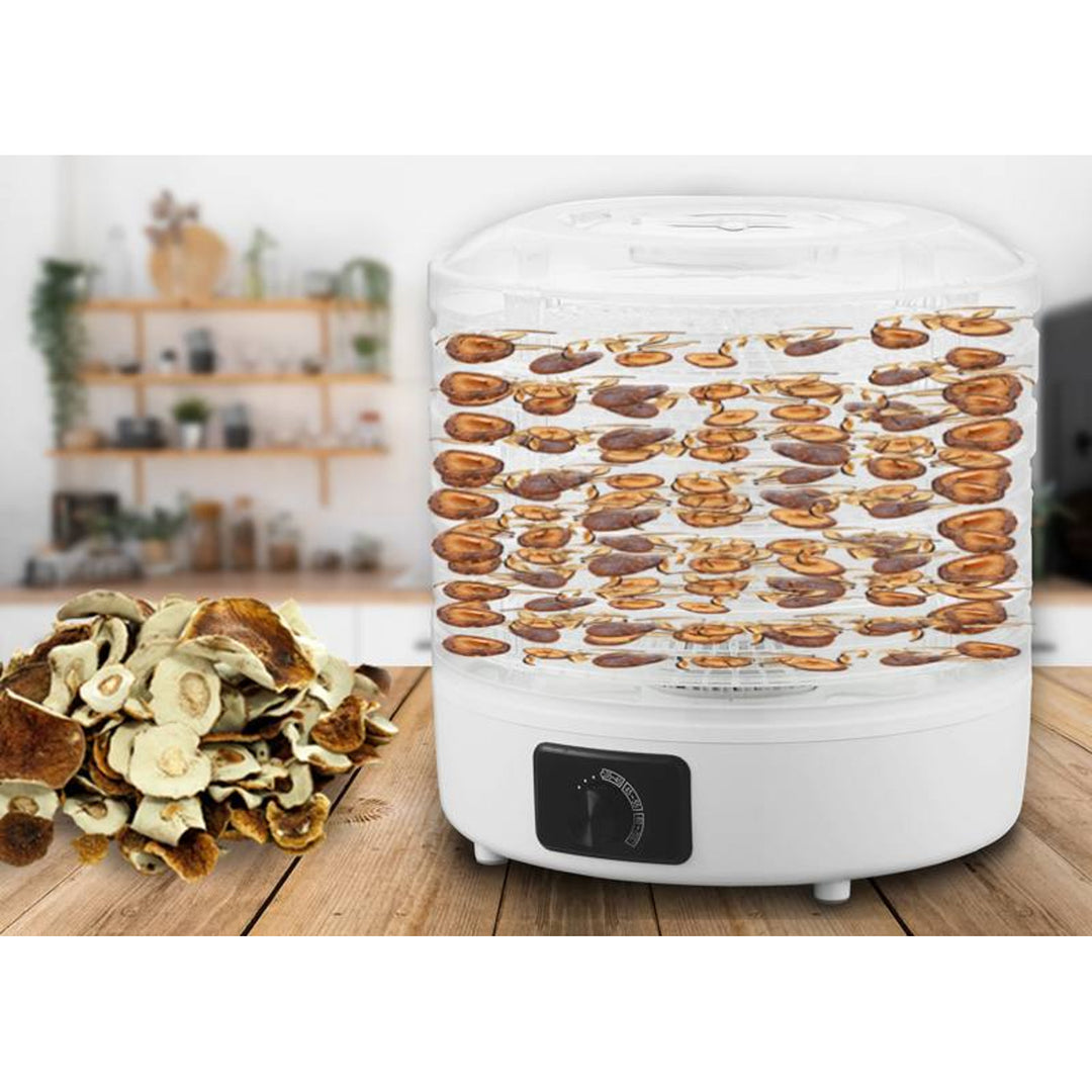Essiccatore per funghi, verdure, frutta, carne LTC, potenza regolabile, base antiscivolo, 5 vassoi, lavabile in lavastoviglie, LXSR003