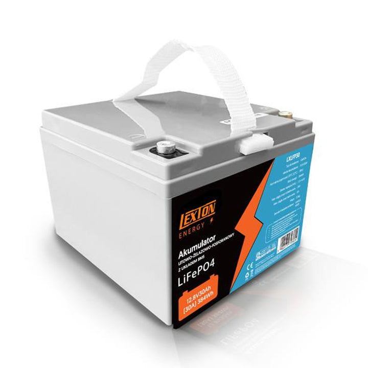 Batteria LiFePo4 Lexton al litio-ferro-fosfato, con BMS, 12,8V, 30Ah, LXLFP30 + caricabatterie LTC Energy LiFePO4