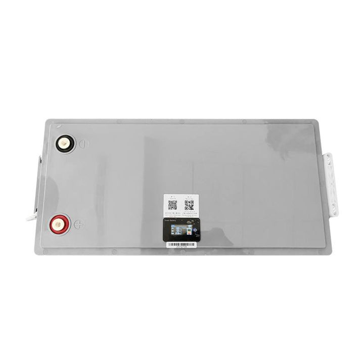Batteria LiFePo4 Lexton al litio ferro fosfato, con BMS, 12,8V, 200Ah, LXLFP200 + caricabatterie LTC Energy LiFePO4
