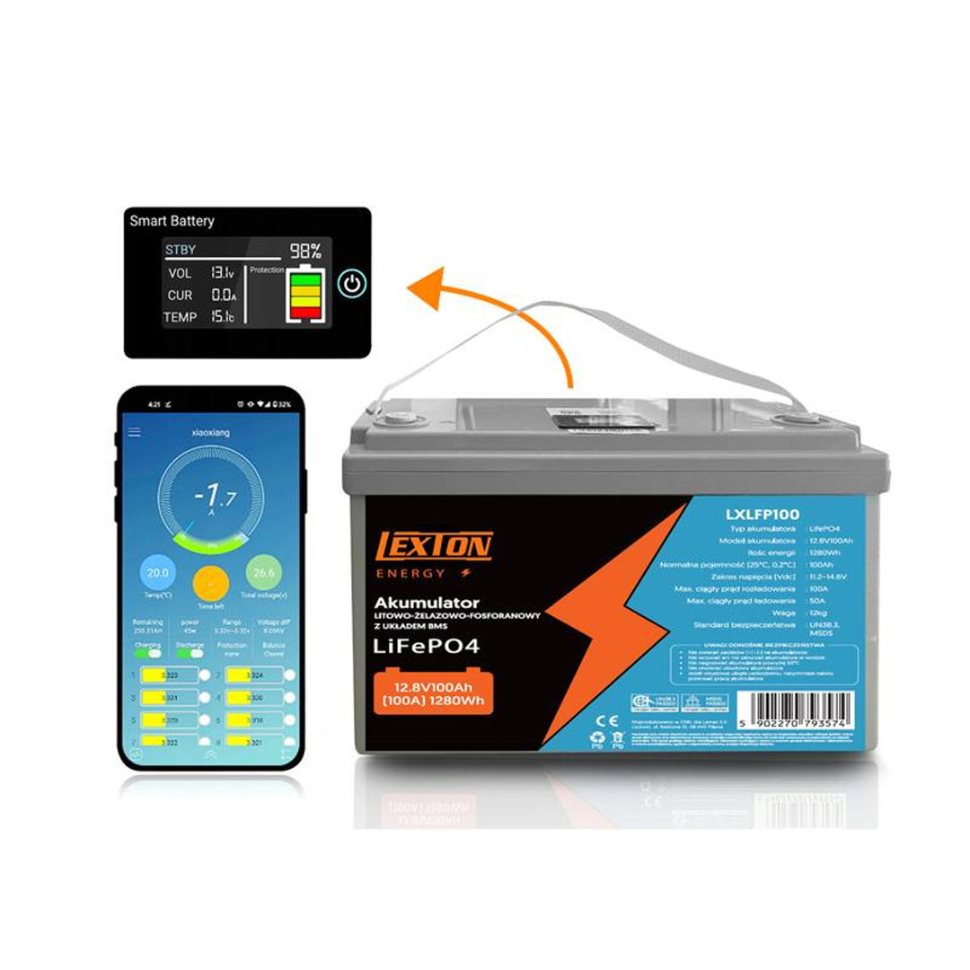 Batteria LiFePo4 Lexton al litio-ferro-fosfato, con BMS, 12,8V, 100Ah, LXLFP100 + caricabatterie LTC Energy LiFePO4