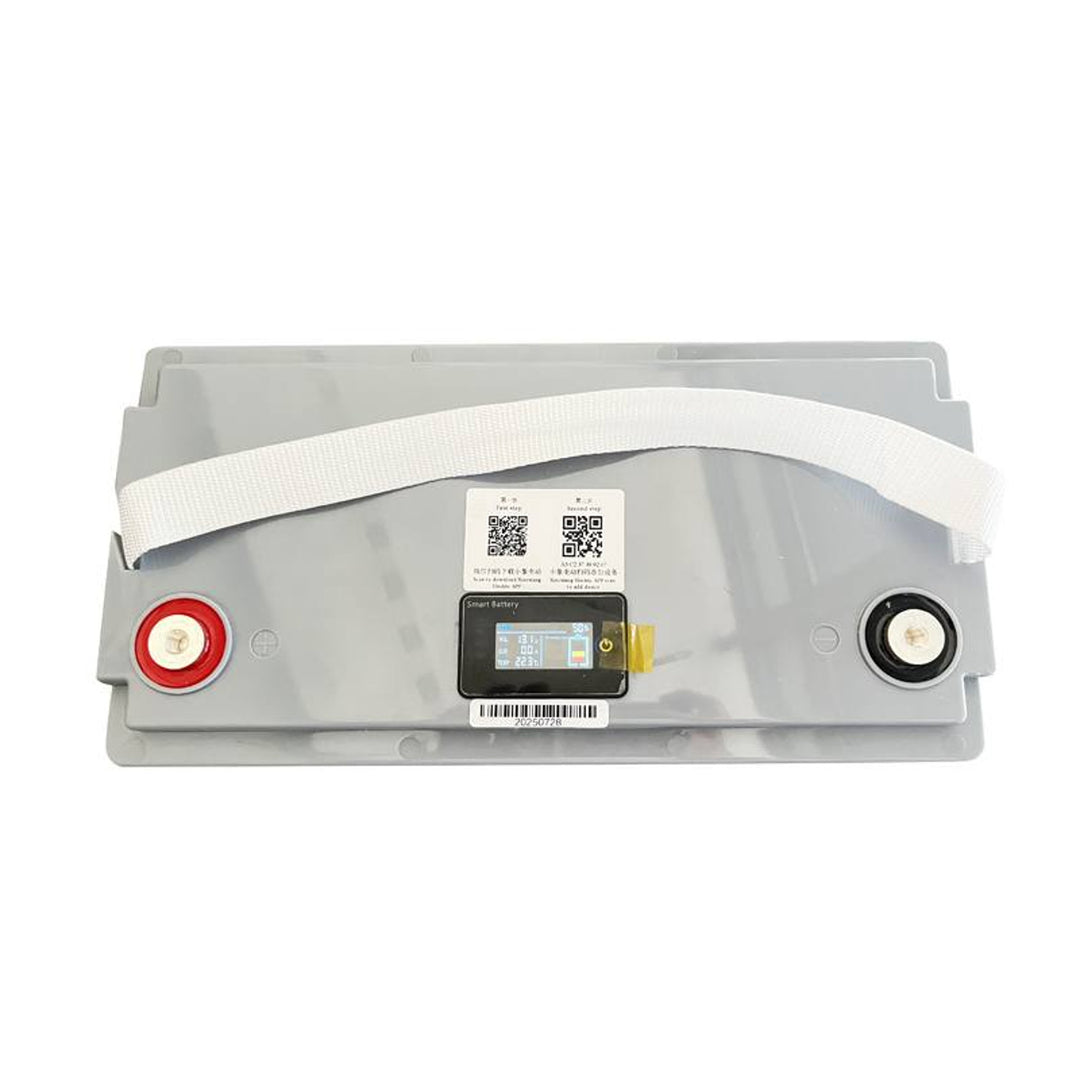 Batteria LiFePo4 Lexton al litio-ferro-fosfato, con BMS, 12,8V, 100Ah, LXLFP100 + caricabatterie LTC Energy LiFePO4