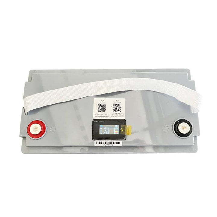 Batteria LiFePo4 Lexton al litio-ferro-fosfato, con BMS, 12,8V, 100Ah, LXLFP100 + caricabatterie LTC Energy LiFePO4