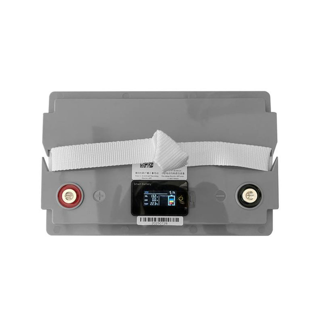 Batteria Lexton al litio ferro fosfato LiFePo4, con BMS, 12,8V, 70Ah, LXLFP70 + raddrizzatore per batterie LiFePO4 LTC Energy