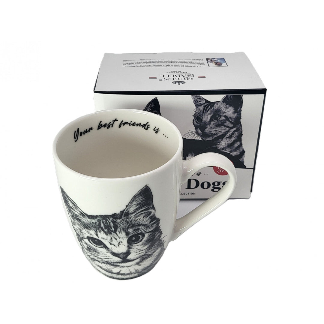 Tazza in porcellana Queen Isabel, gatto American Shorthair, 350 ml, Q1-05195