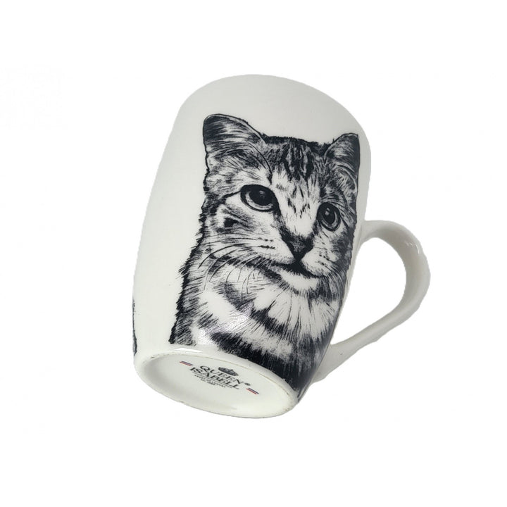 Tazza in porcellana Queen Isabel, gatto American Shorthair, 350 ml, Q1-05195