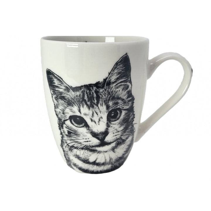 Tazza in porcellana Queen Isabel, gatto American Shorthair, 350 ml, Q1-05195