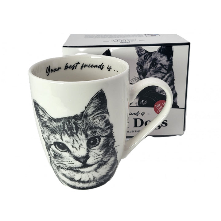 Tazza in porcellana Queen Isabel, gatto American Shorthair, 350 ml, Q1-05195