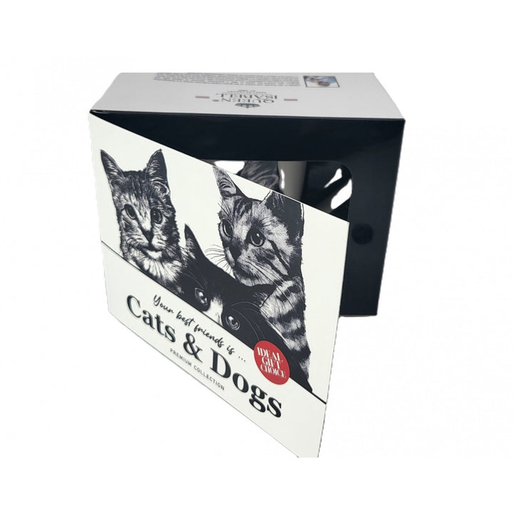 Tazza in porcellana Queen Isabel, gatto American Shorthair, 350 ml, Q1-05195