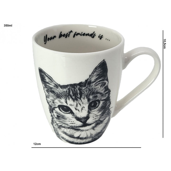 Tazza in porcellana Queen Isabel, gatto American Shorthair, 350 ml, Q1-05195