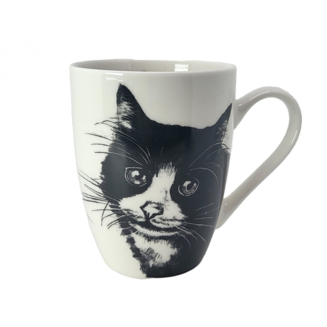 Tazza in porcellana Queen Isabel, gatto europeo, 350 ml, Q1-05218