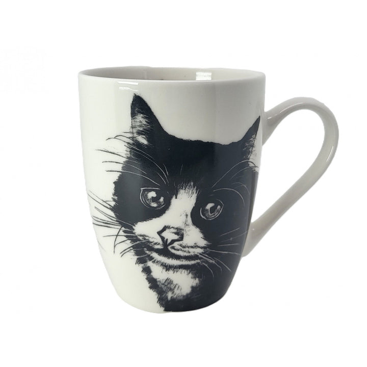 Tazza in porcellana Queen Isabel, gatto europeo, 350 ml, Q1-05218