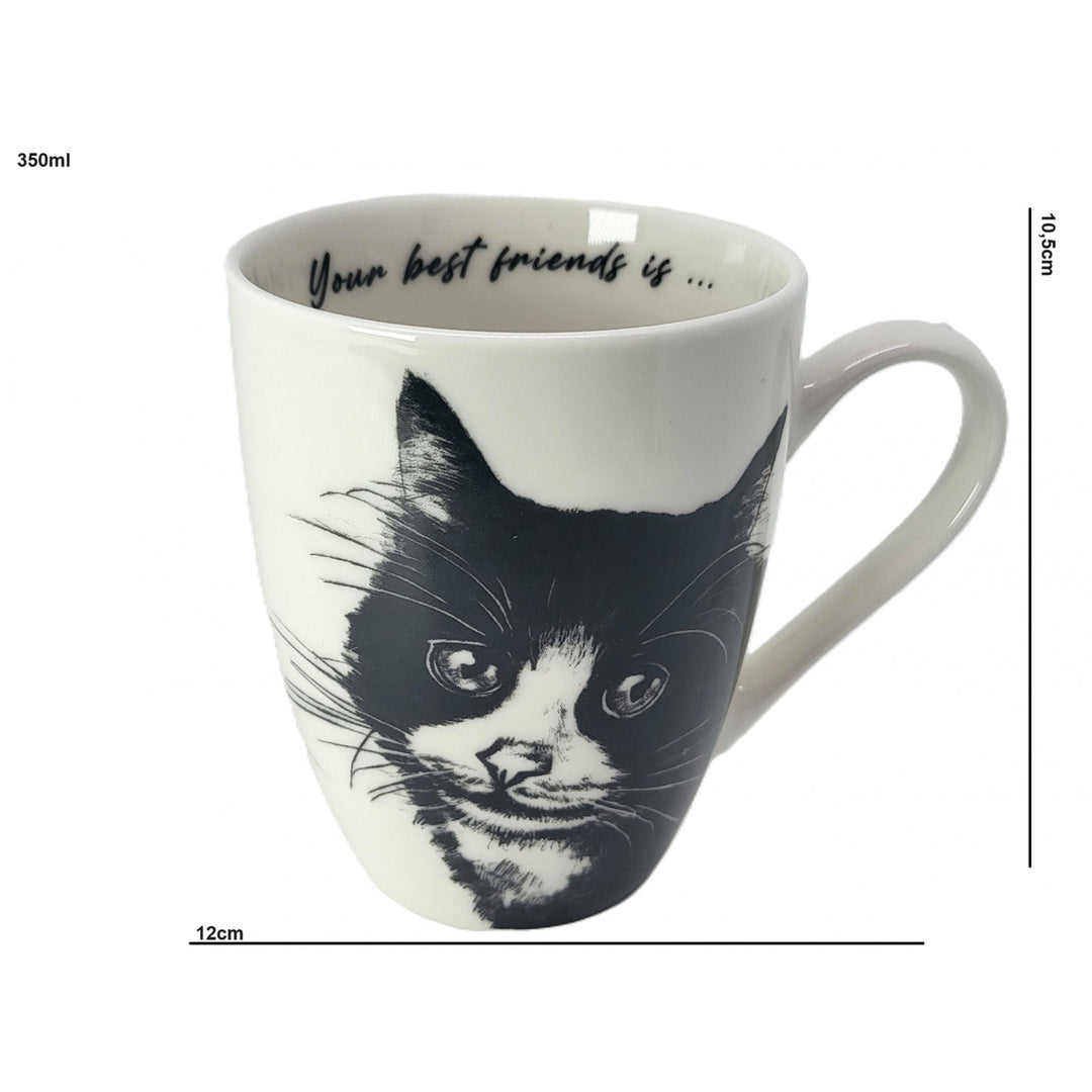 Tazza in porcellana Queen Isabel, gatto europeo, 350 ml, Q1-05218