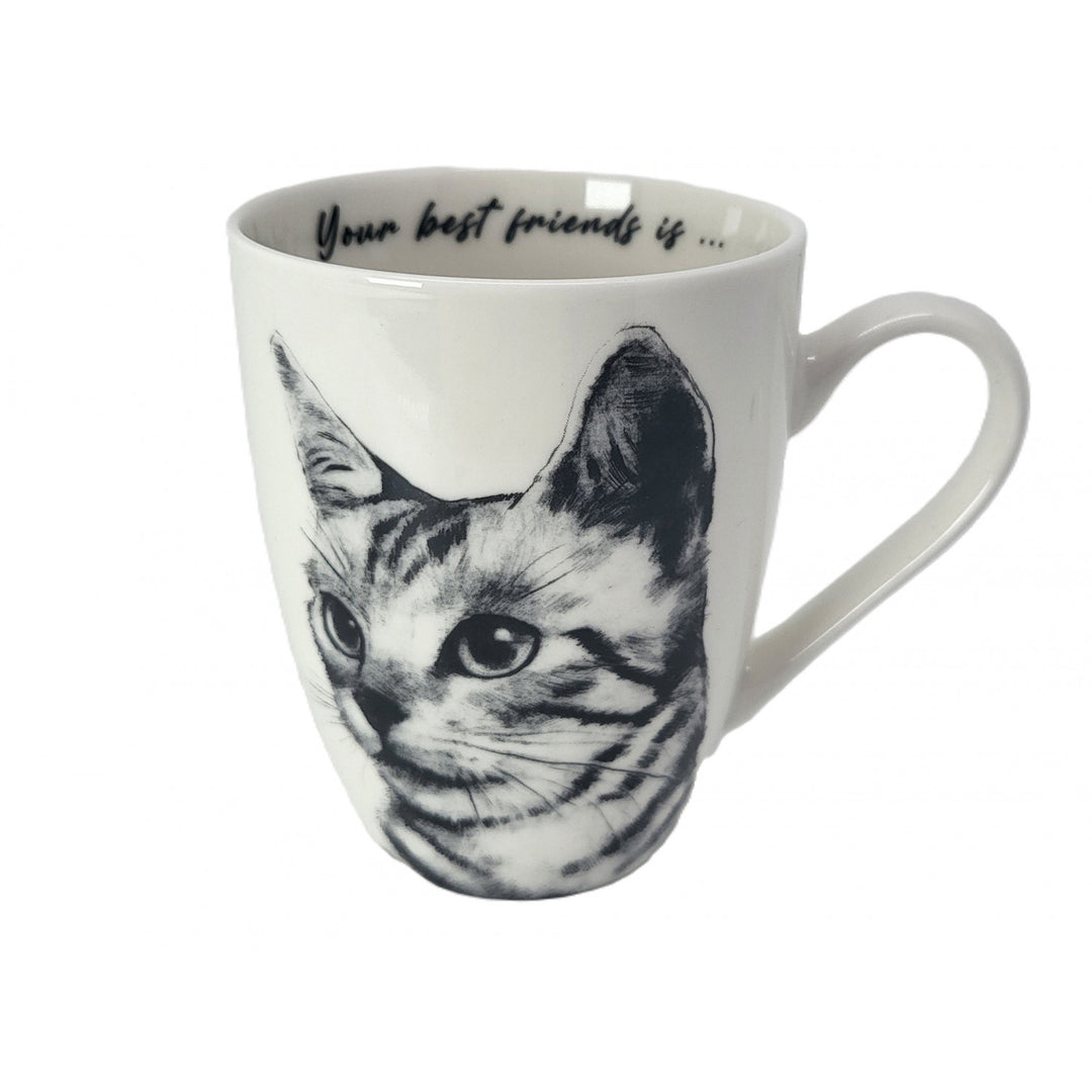 Tazza in porcellana Queen Isabel, gatto Sokake, 350 ml, Q1-05218