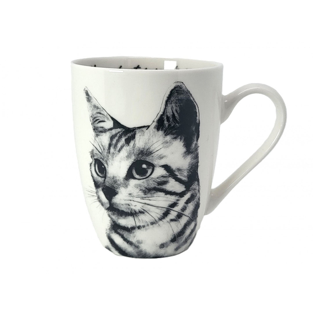 Tazza in porcellana Queen Isabel, gatto Sokake, 350 ml, Q1-05218